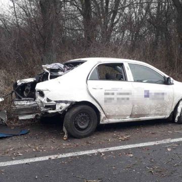 Toyota Corolla з’їхала з дороги та протаранила дерево