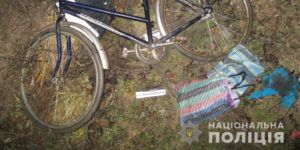 Чоловіка, який напав із битою на жінку-листоношу, взяли під варту