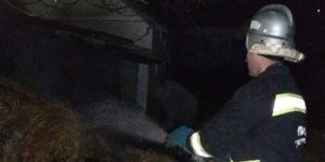 Вінницькі вогнеборці рятували від полум'я сіно та солому