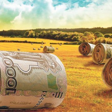 Вінницькі сільгосппідприємства залучили пільгових кредитів на півмільярда