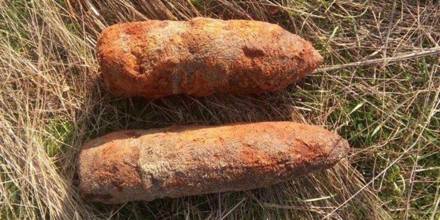 У лісових масивах під Вінницею знайшли 14 снарядів