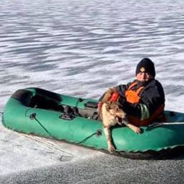 Рятувальники витягли собаку з замерзлого ставка