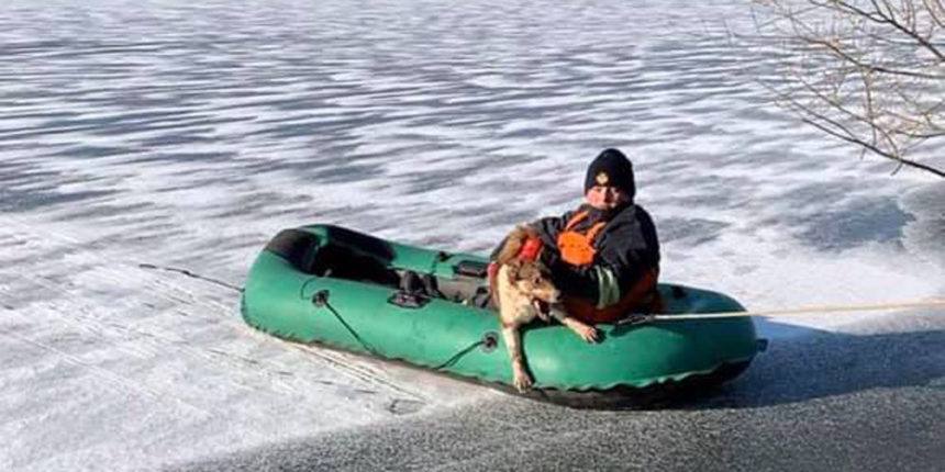 Рятувальники витягли собаку з замерзлого ставка
