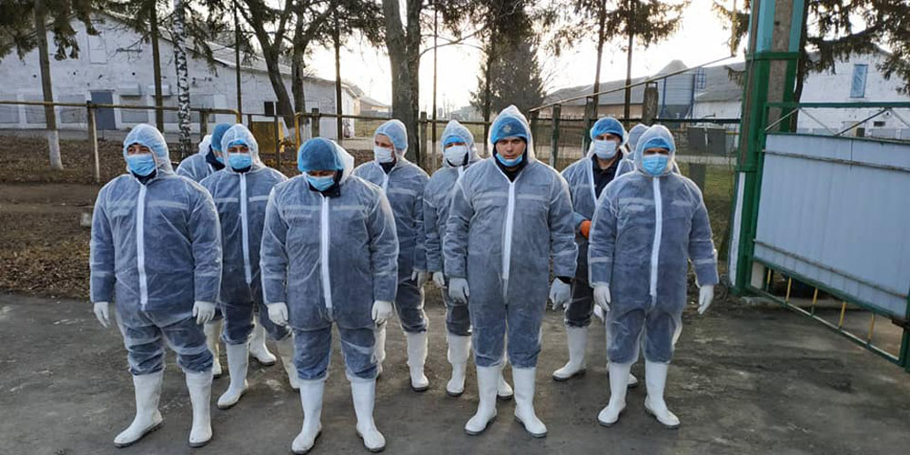 На Вінниччині знищили всіх курей, які могли поширювати пташиний грип
