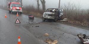 У Теплицькому районі в ДТП загинув водій "Жугулів"