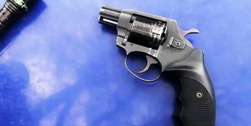 У мешканця Бершадського району поліція вилучила револьвер та набої