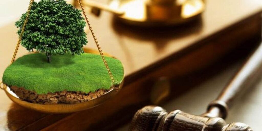 Прокуратура Вінничини зобов’язує орендарів-порушників сплатити збитки