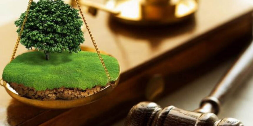 Прокуратура Вінничини зобов’язує орендарів-порушників сплатити збитки