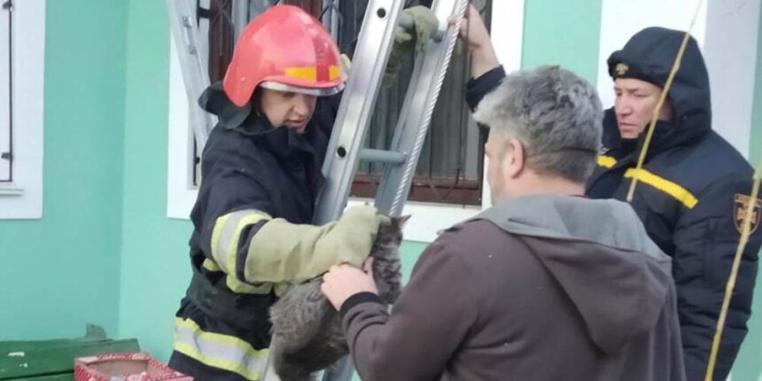 Рятувальники на Вінниччині дістали літній жінці кішку з дерева