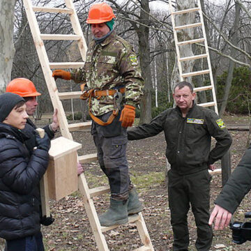 На Вінниччині лісівники розвішають 18600 шпаківень та синичників