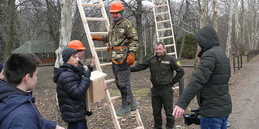 На Вінниччині лісівники розвішають 18600 шпаківень та синичників