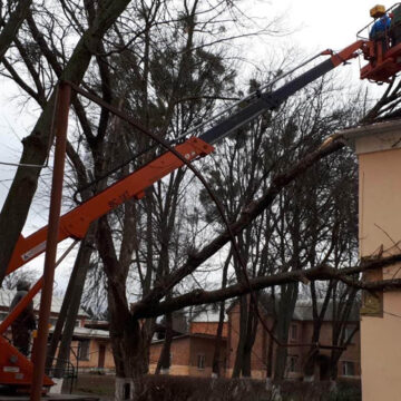 У Вінниці рятувальники прибрали дерево з порківлі будівлі обласної лікарні