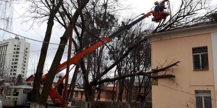 У Вінниці рятувальники прибрали дерево з порківлі будівлі обласної лікарні