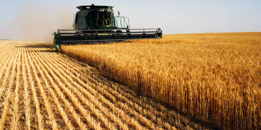 Вінницька область і досі експортує агропродукцію в Росію