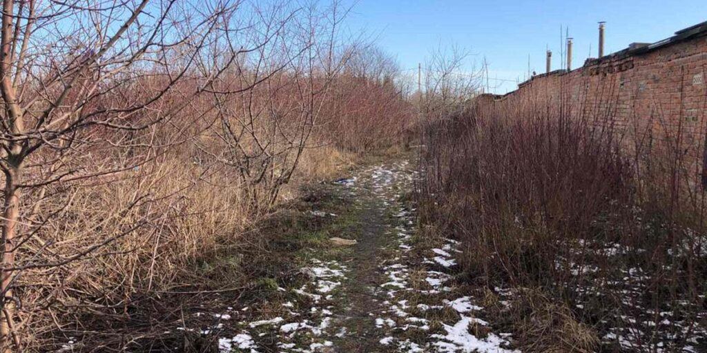 На сміттєзвалище у чагарниках перетворили територію біля гаражів у Вінниці