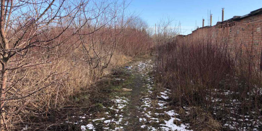 На сміттєзвалище у чагарниках перетворили територію біля гаражів у Вінниці