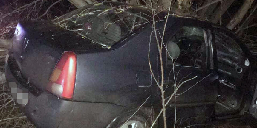 У Барському районі водій Dacia Logan в'їхав у дерево