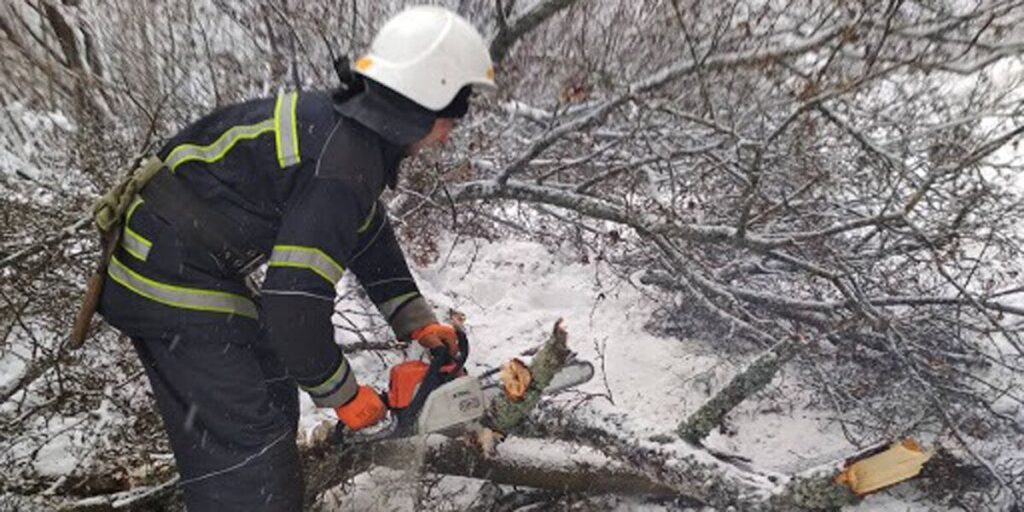 У Літинському районі рятувальники прибрали з дороги дерево