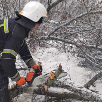 У Літинському районі рятувальники прибрали з дороги дерево