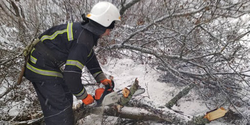 У Літинському районі рятувальники прибрали з дороги дерево