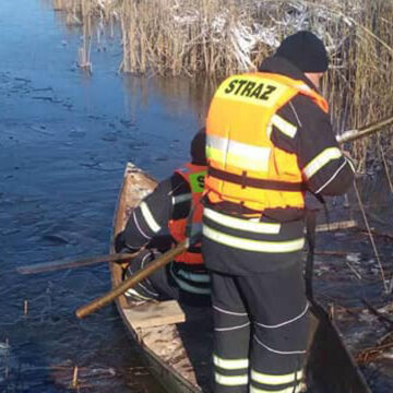 Вінницькі рятувальники не дали замерзнути лебедям
