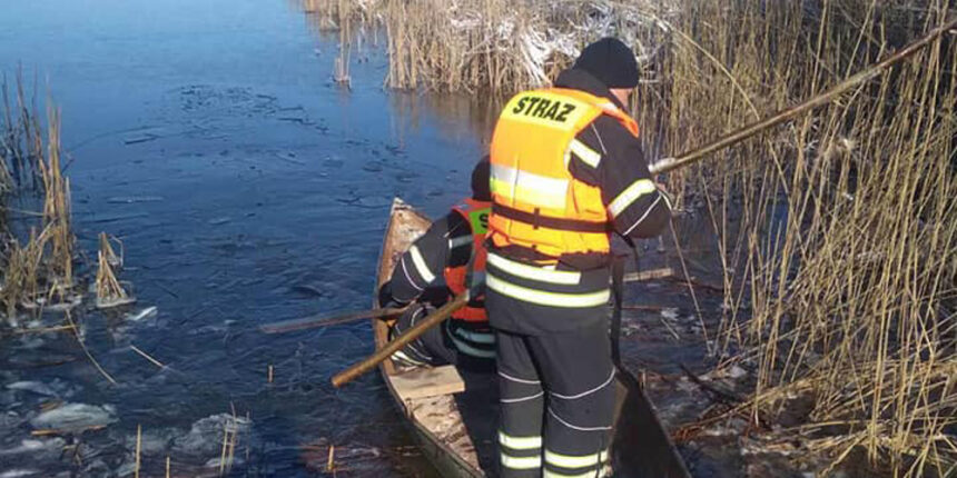 Вінницькі рятувальники не дали замерзнути лебедям