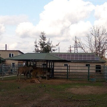 "Подільский зоопарк" встановив сонячні батареї на даху зимівника для антилоп