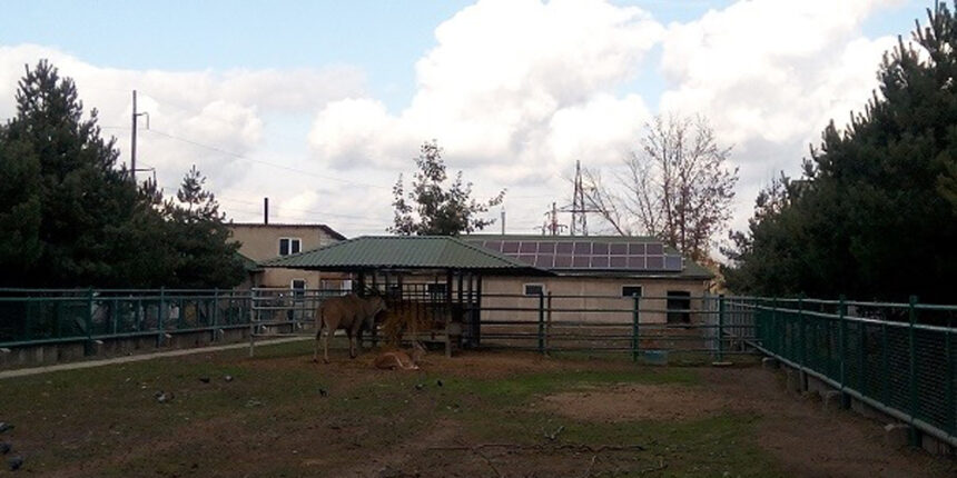 "Подільский зоопарк" встановив сонячні батареї на даху зимівника для антилоп