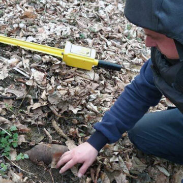 У Тростянецькому районі рубали ліс - знайшли снаряди