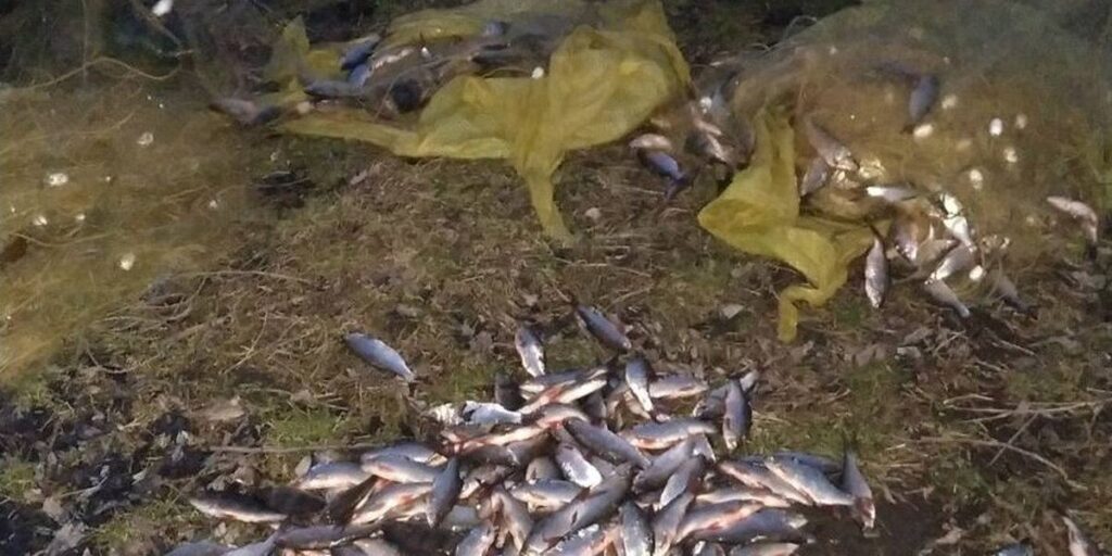 На Ладижинському водосховищі на Вінниччині знову затримані правопорушники
