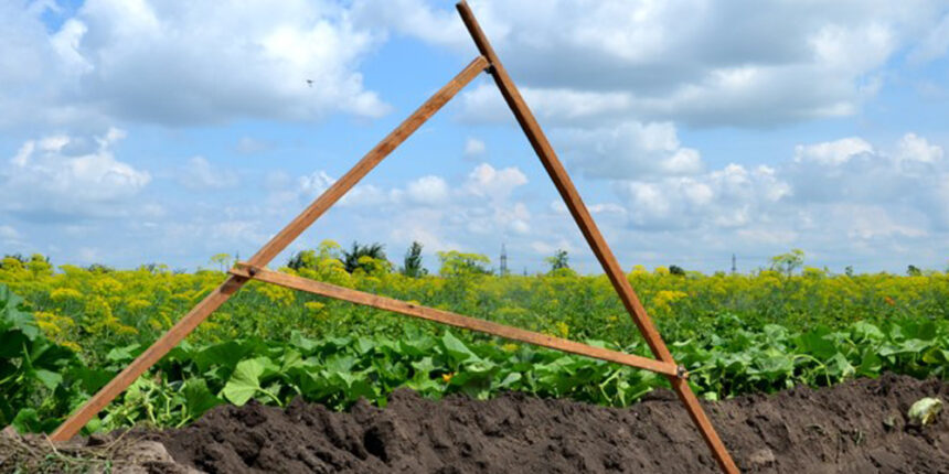 Штраф за самовільне заняття землі на Вінниччині один порушник вже сплатив інший чекає рішення суду