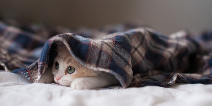 Без опалення у Вінниці залишились мешканці шести будинків