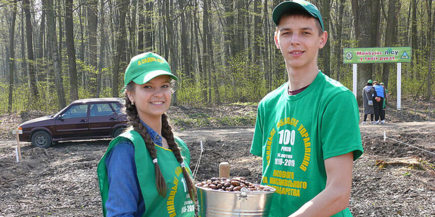 Більше 5 мільйонів саджанців висадять лісівники на Вінниччині