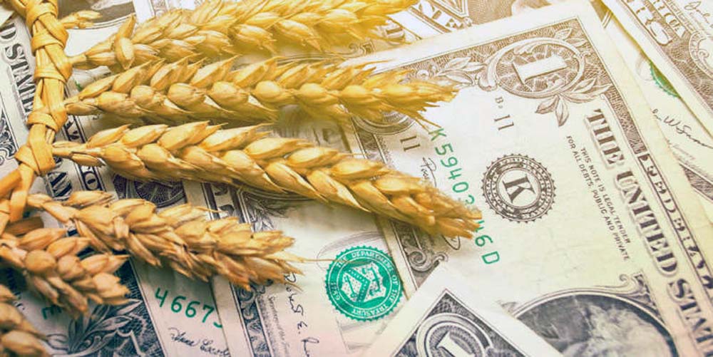 Деньги сена. Пшеница и доллары. Сельхоз кредит. Зерновая сделка. Зерновая сделка 1920.