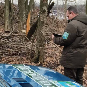 Майже на півтора мільйонів гривень незаконно нарубали дерев у Вінницької області