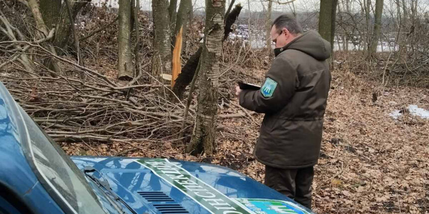 Майже на півтора мільйонів гривень незаконно нарубали дерев у Вінницької області
