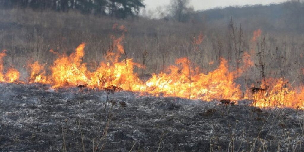 У Вінниці та області горить трава — за добу ліквідовано дві пожежі