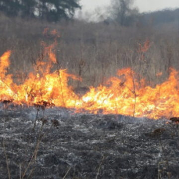 У Вінниці та області горить трава — за добу ліквідовано дві пожежі