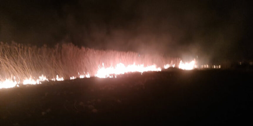 На Вінниччині за добу ліквідовано 13 пожеж сухої рослинності на площі 14 га