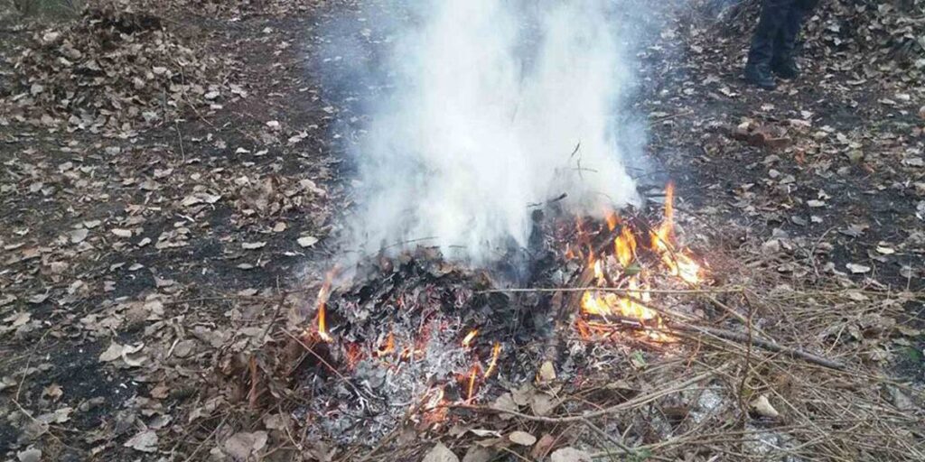 У Вінниці за добу зафіксували чотири факти спалювання сміття