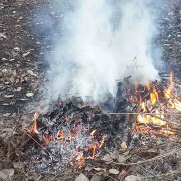 У Вінниці за добу зафіксували чотири факти спалювання сміття