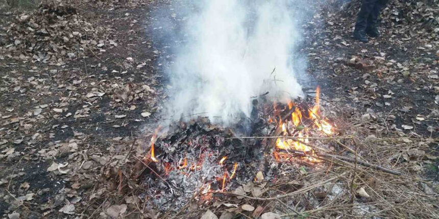 У Вінниці за добу зафіксували чотири факти спалювання сміття