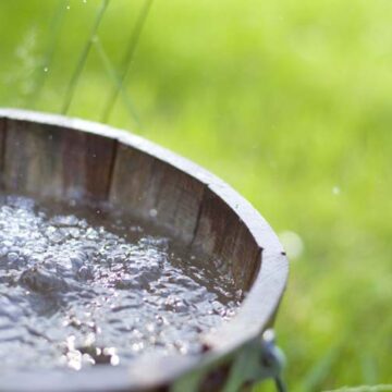 У кількох калинівських криницях на Вінниччині вода не придатна до споживання