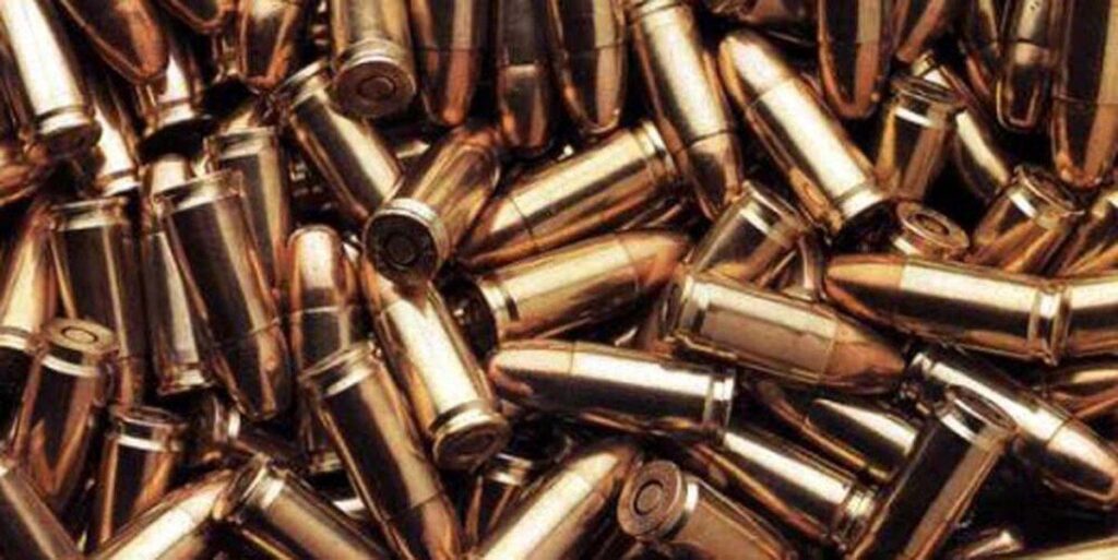 Зброю та набої вилучили поліцейські Вінницької області у двох порушників