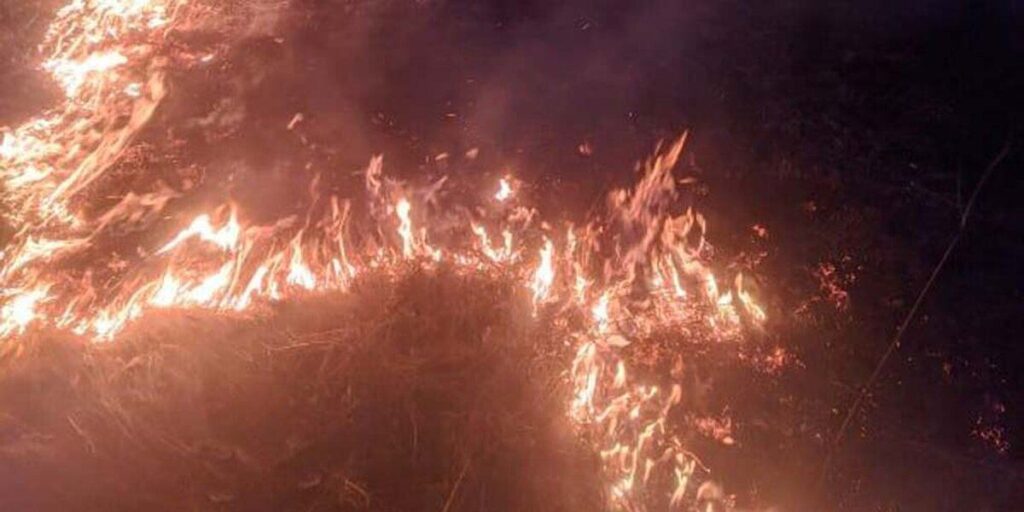 На Вінниччині за добу рятувальники ліквідували тринадцять пожеж сухостоїв