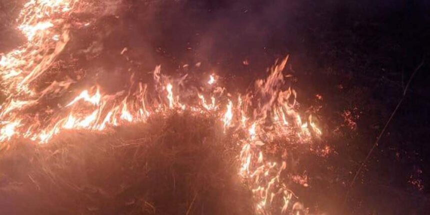 На Вінниччині за добу рятувальники ліквідували тринадцять пожеж сухостоїв