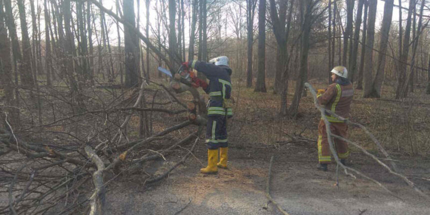 Рятувальники прибрали з автошляху на Вінниччині повалене вітром дерево