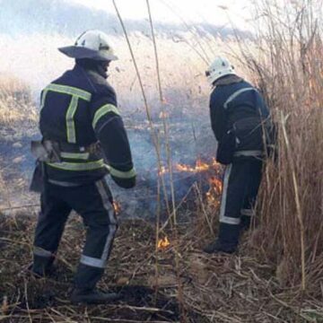 На Вінниччині за добу пожежники ліквідовали три пожежі сухої трави