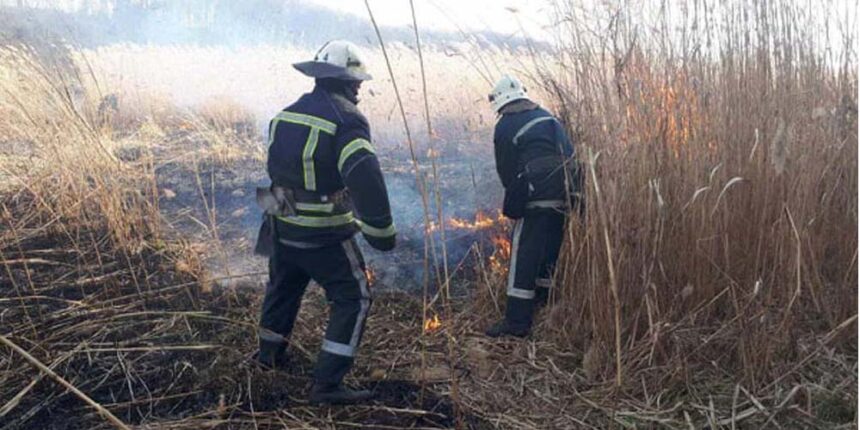 На Вінниччині за добу пожежники ліквідовали три пожежі сухої трави