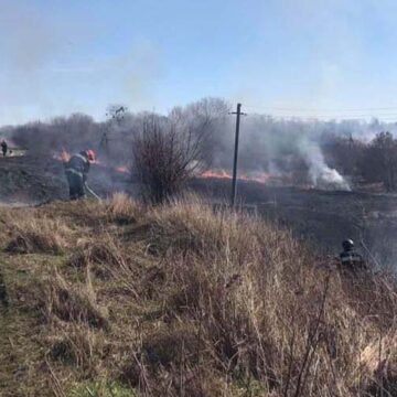 На Вінниччині за добу ліквідовано 19 пожеж в екосистемах